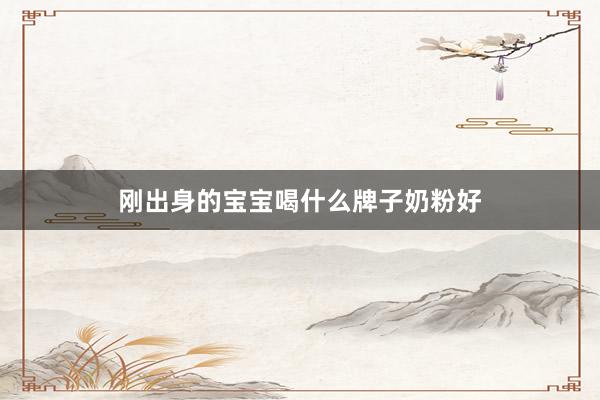 刚出身的宝宝喝什么牌子奶粉好