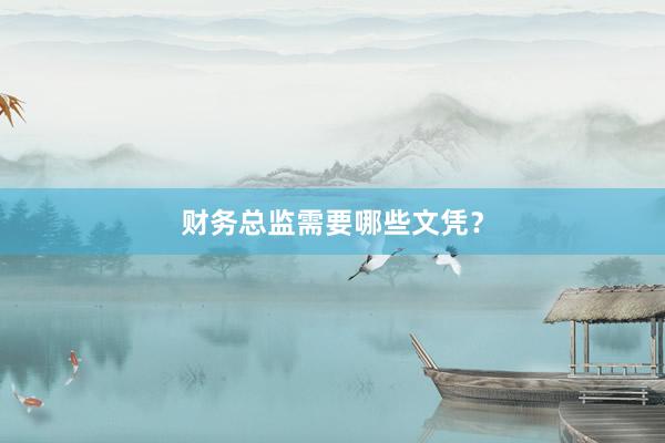 财务总监需要哪些文凭？