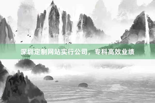 深圳定制网站实行公司，专科高效业绩