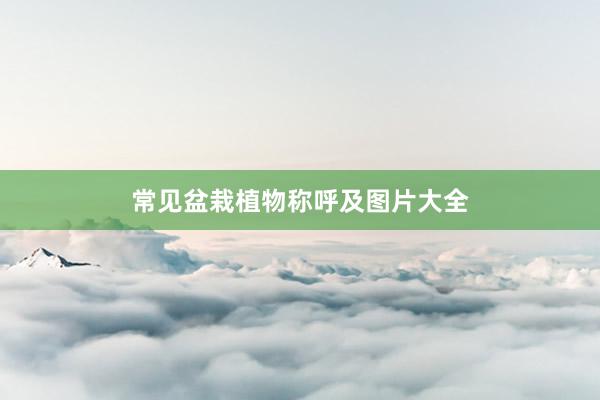 常见盆栽植物称呼及图片大全